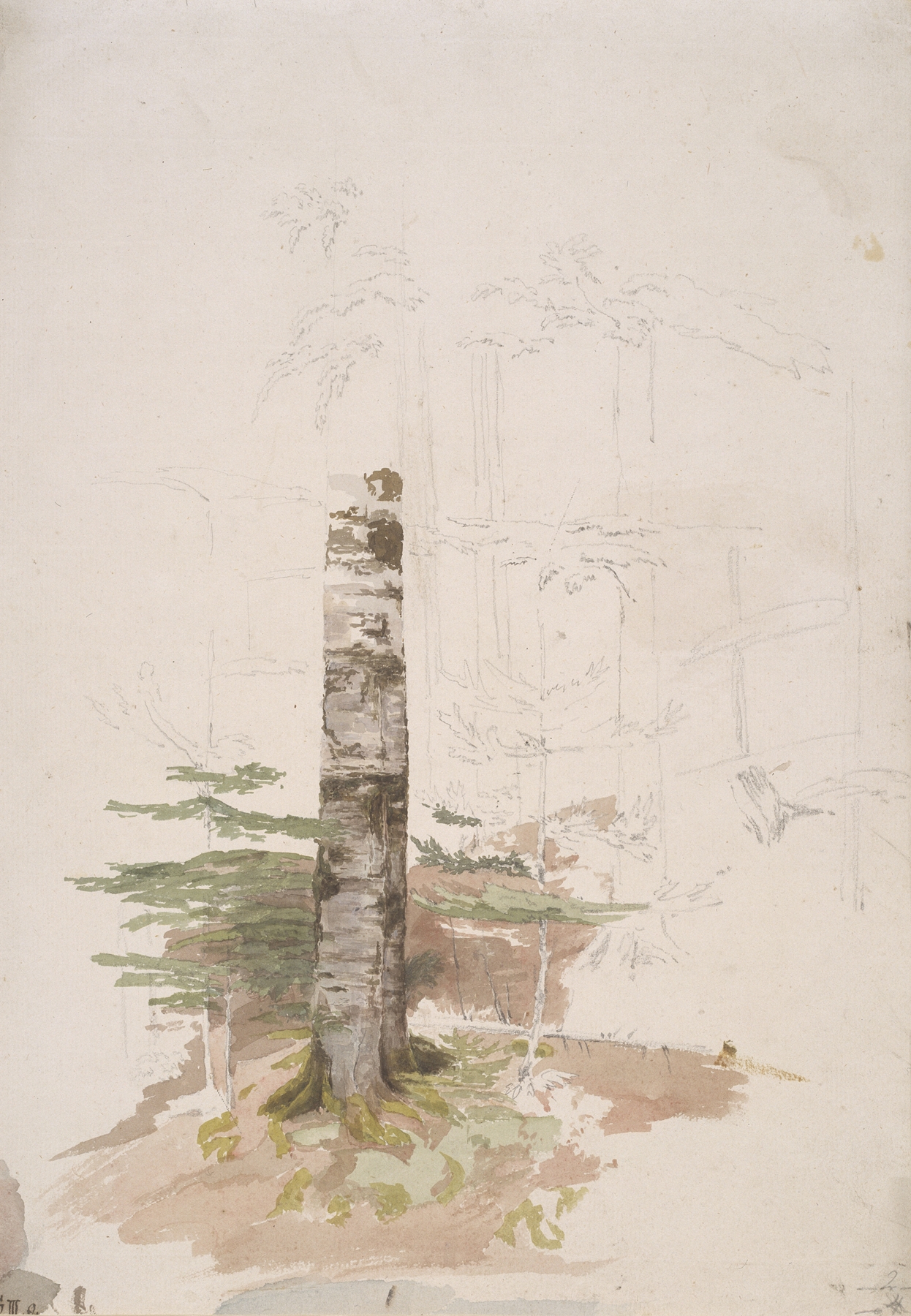 Oil painting by Caspar David Friedrich depicting a serene forest with evergreens.