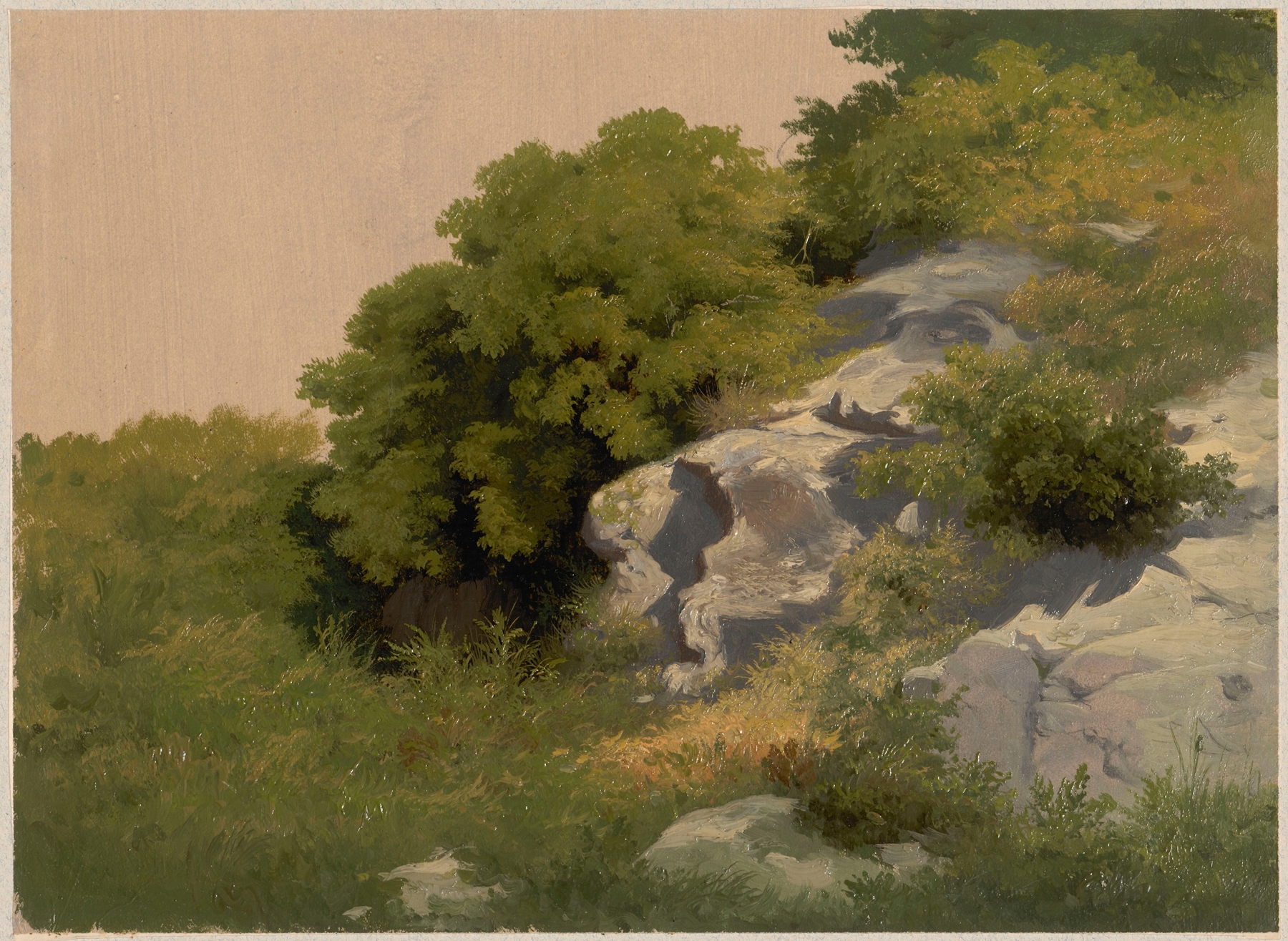 Rocks overgrown with lush vegetation, oil painting by Arthur Blaschnik