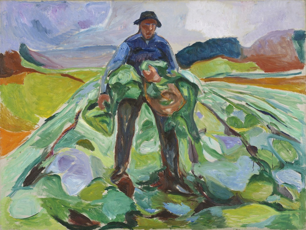 A man stands in a cabbage field, surrounded by vibrant greens and earthy tones.
