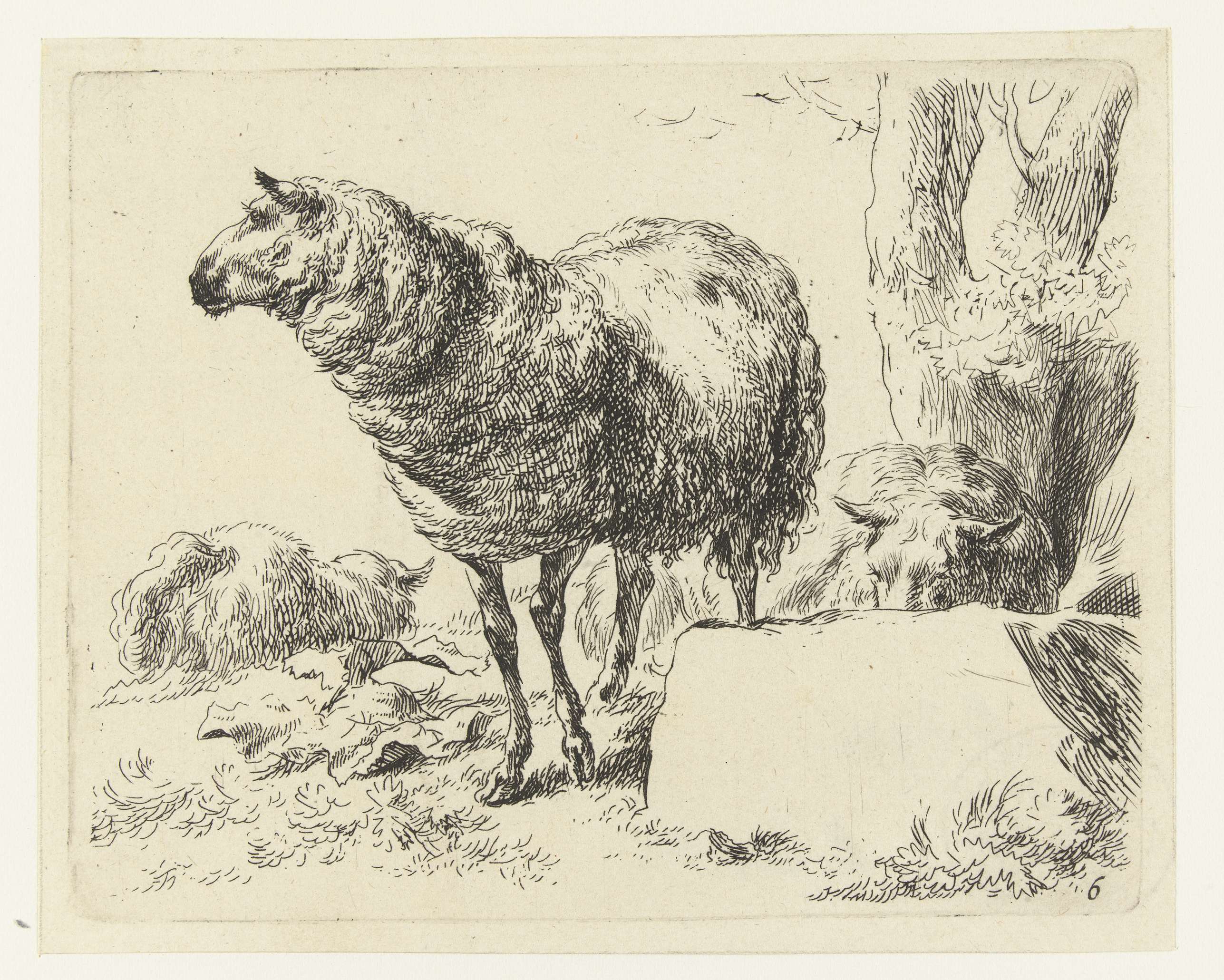 Three sheep in a pastoral landscape, etching by Nicolaes Pietersz Berchem