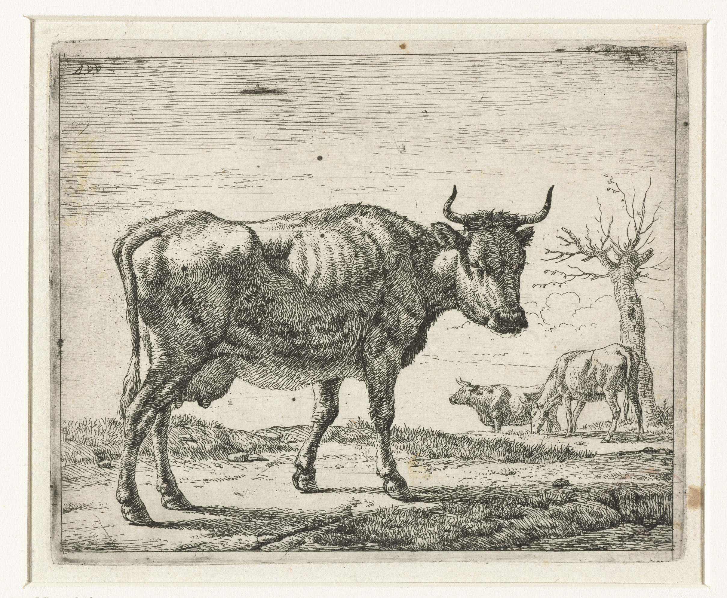 Drie koeien, by Adriaen van de Velde, public domain
