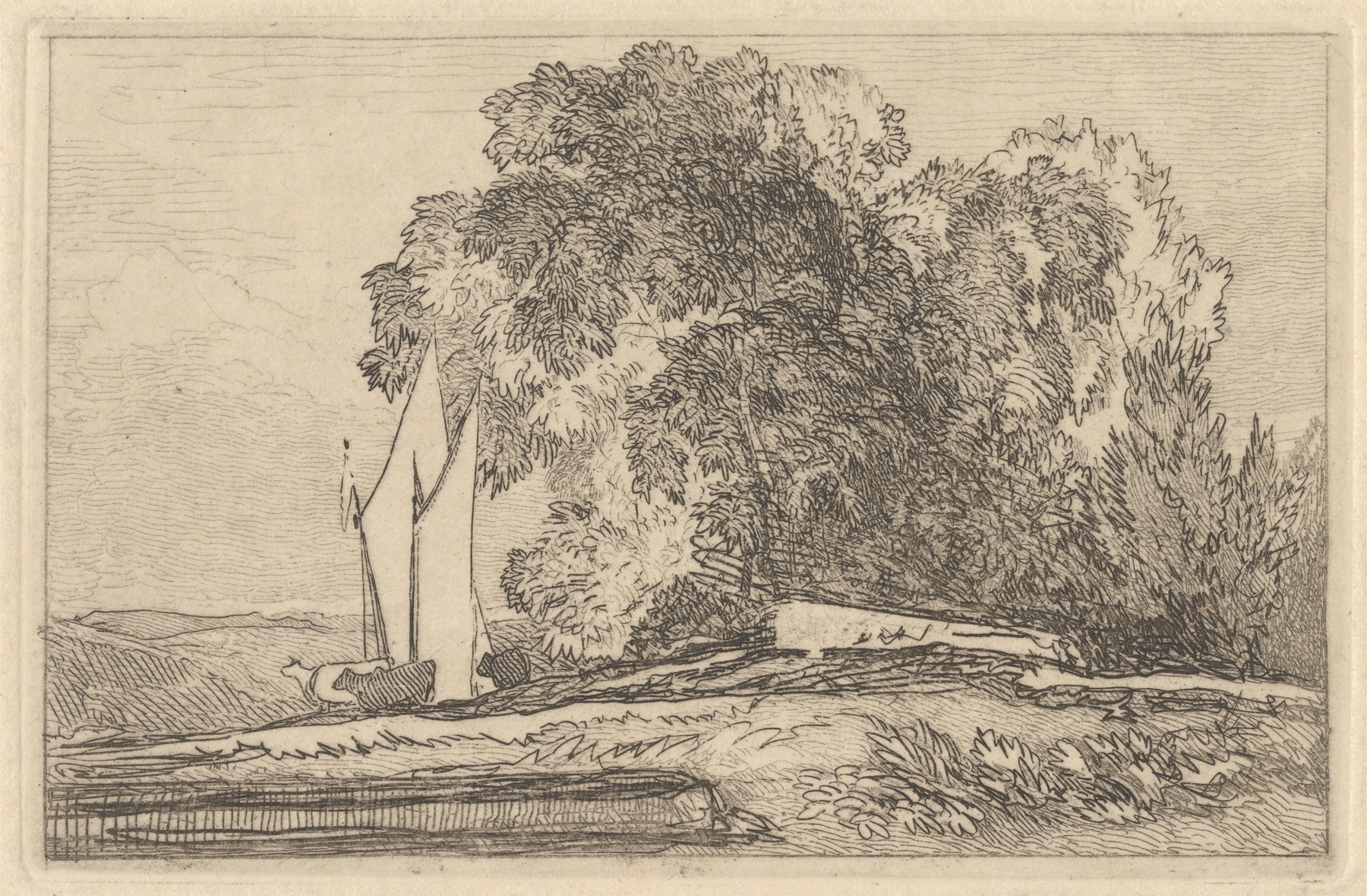 Study of Trees on the Banks of the Yare by Miles Edmund Cotman, oil painting depicting trees along a river.