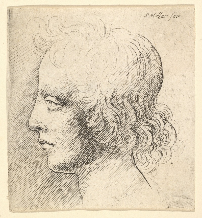 A detailed etching of a young man's head by Wenceslaus Hollar.