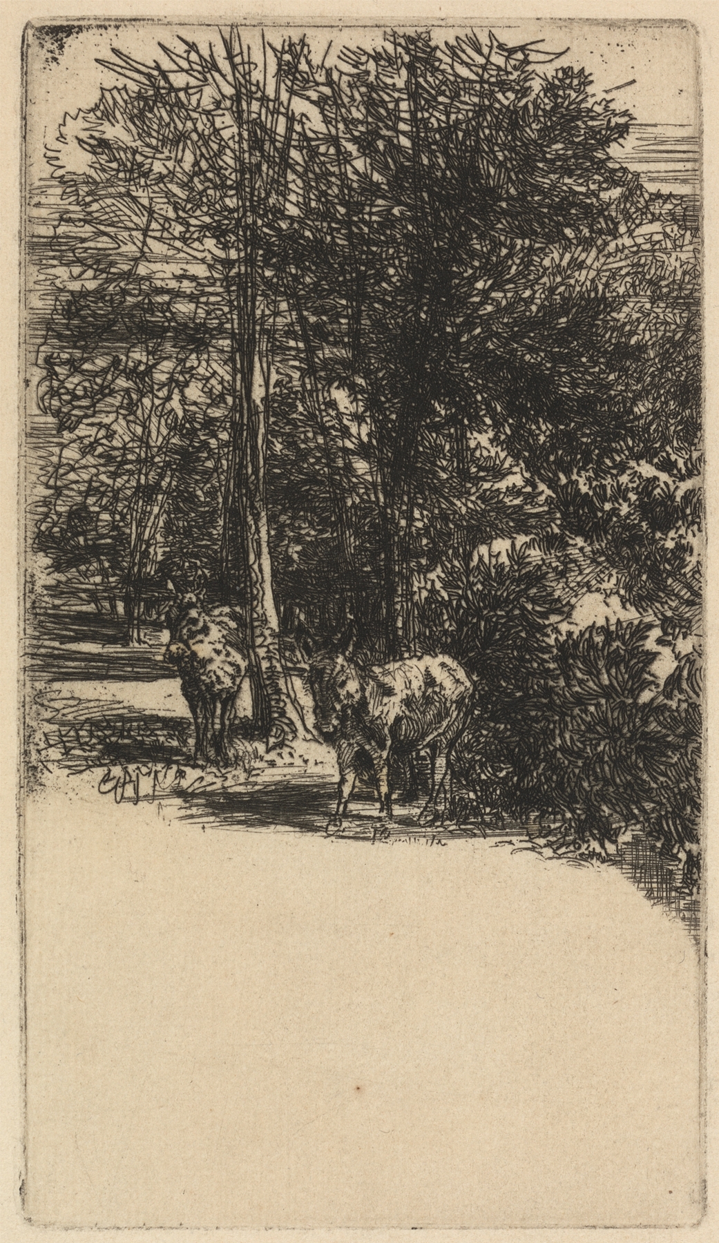 Engraving by Francis Seymour Haden featuring two donkeys in afternoon light