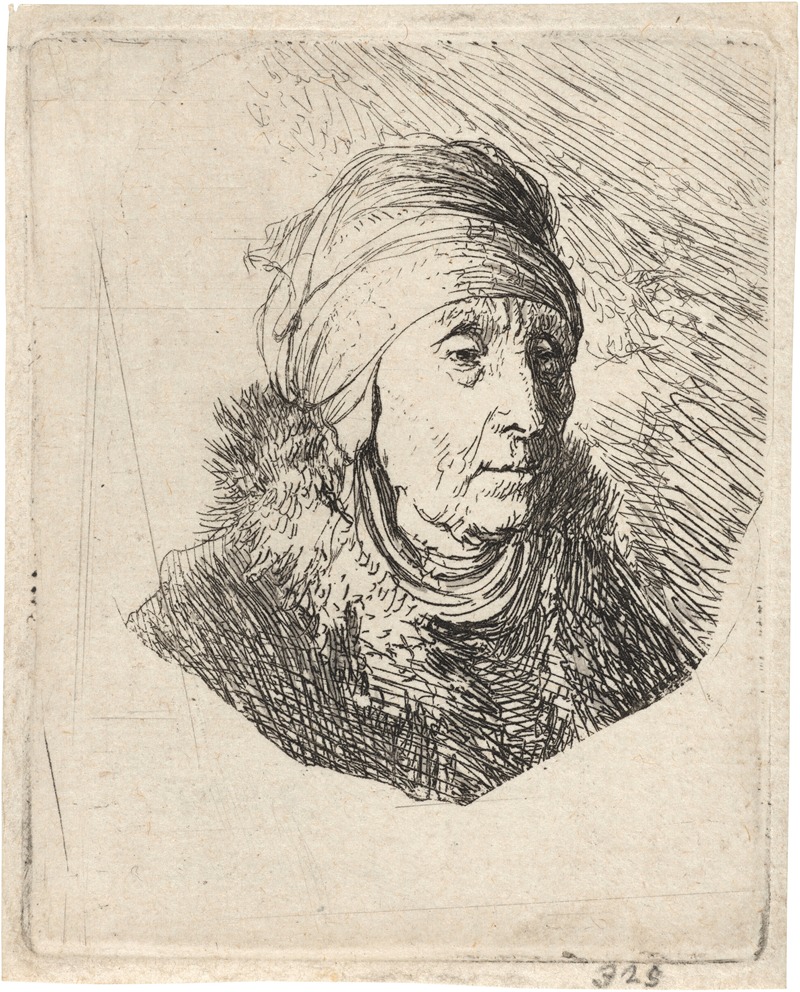 A striking portrait of a woman adorned with a high headdress by Rembrandt.