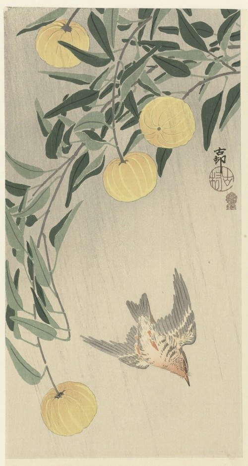 A beautiful woodblock print featuring a cuckoo bird in the rain.
