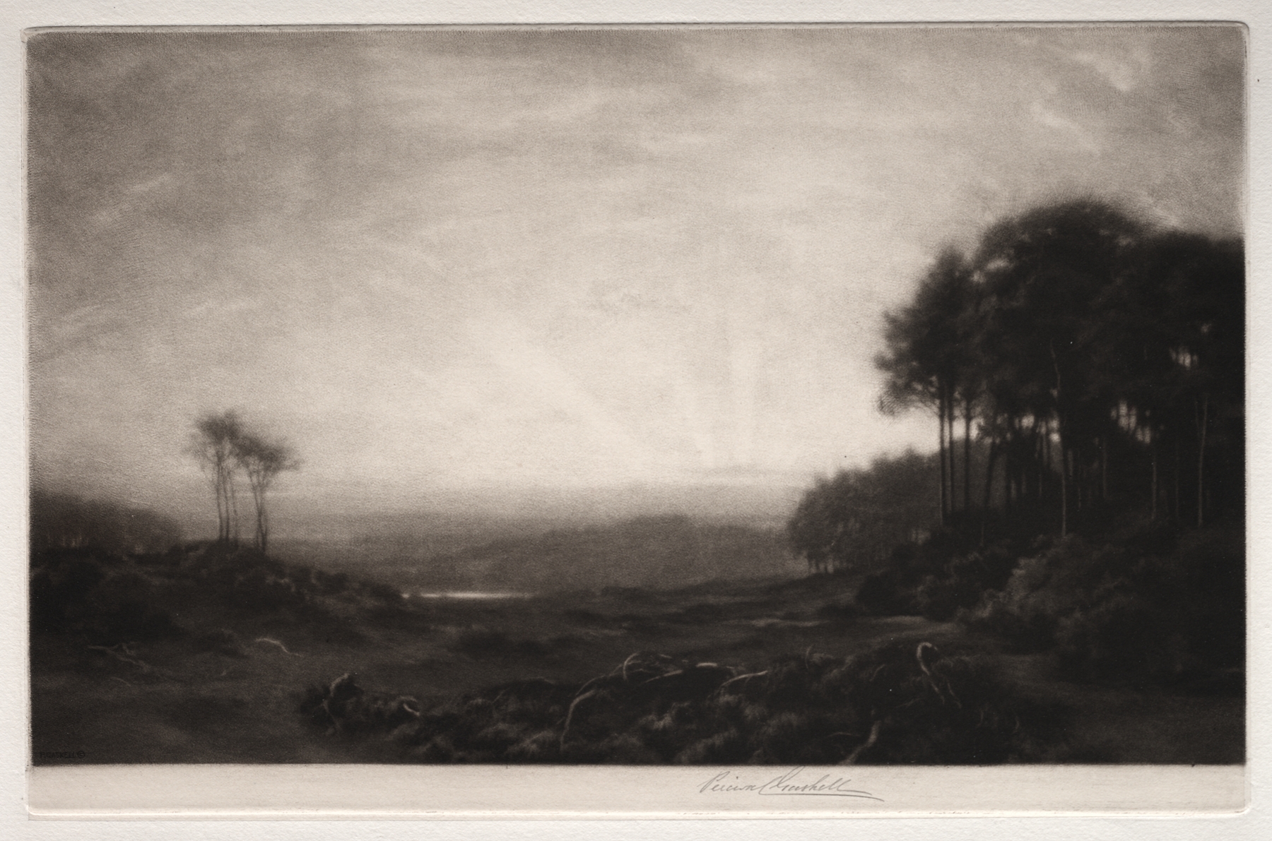 Landscape by George Percival Gaskell, impressionism, depicting a lush natural scene