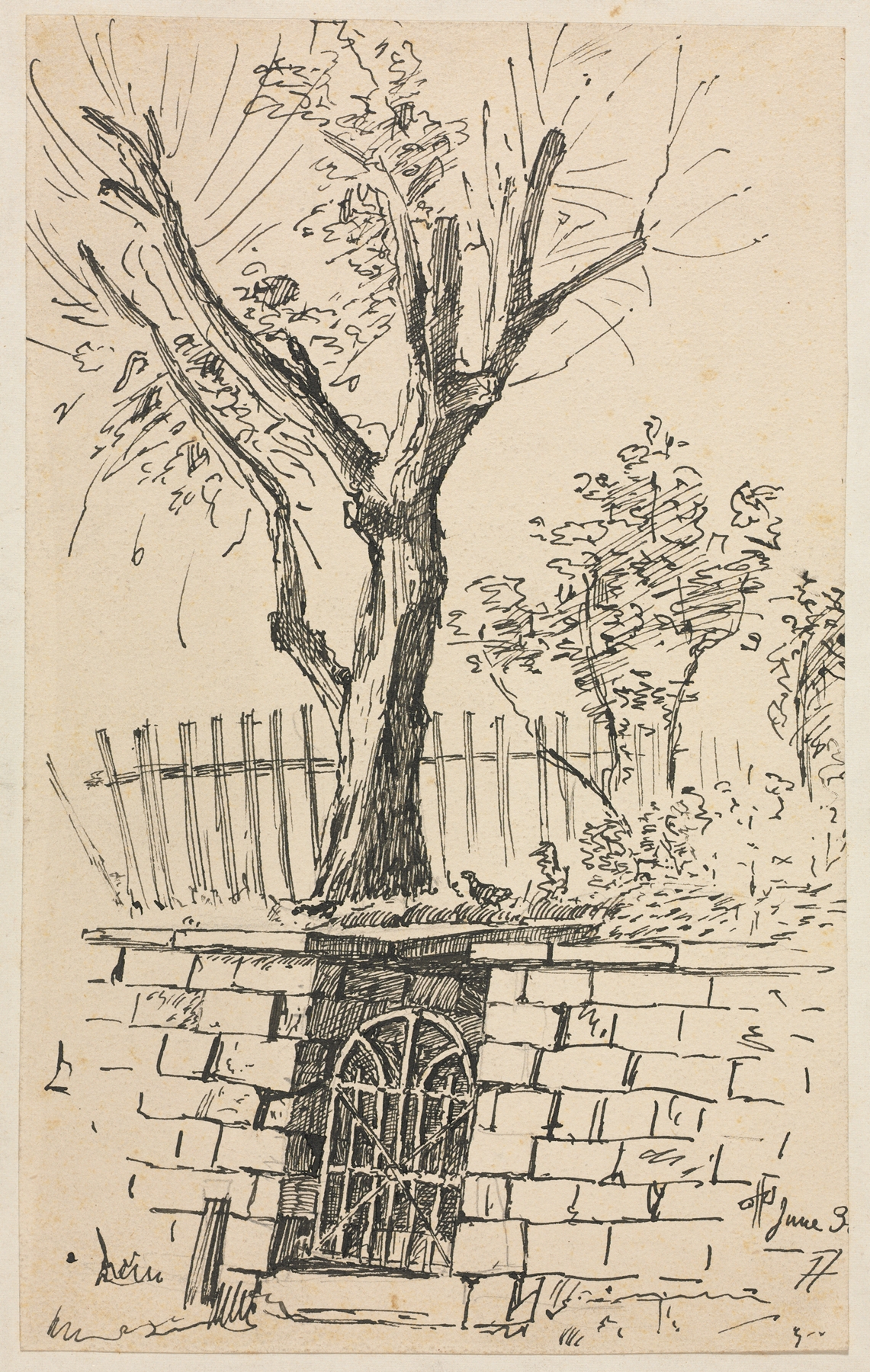 Watercolour by Otto Henry Bacher depicting a tree on a stone wall