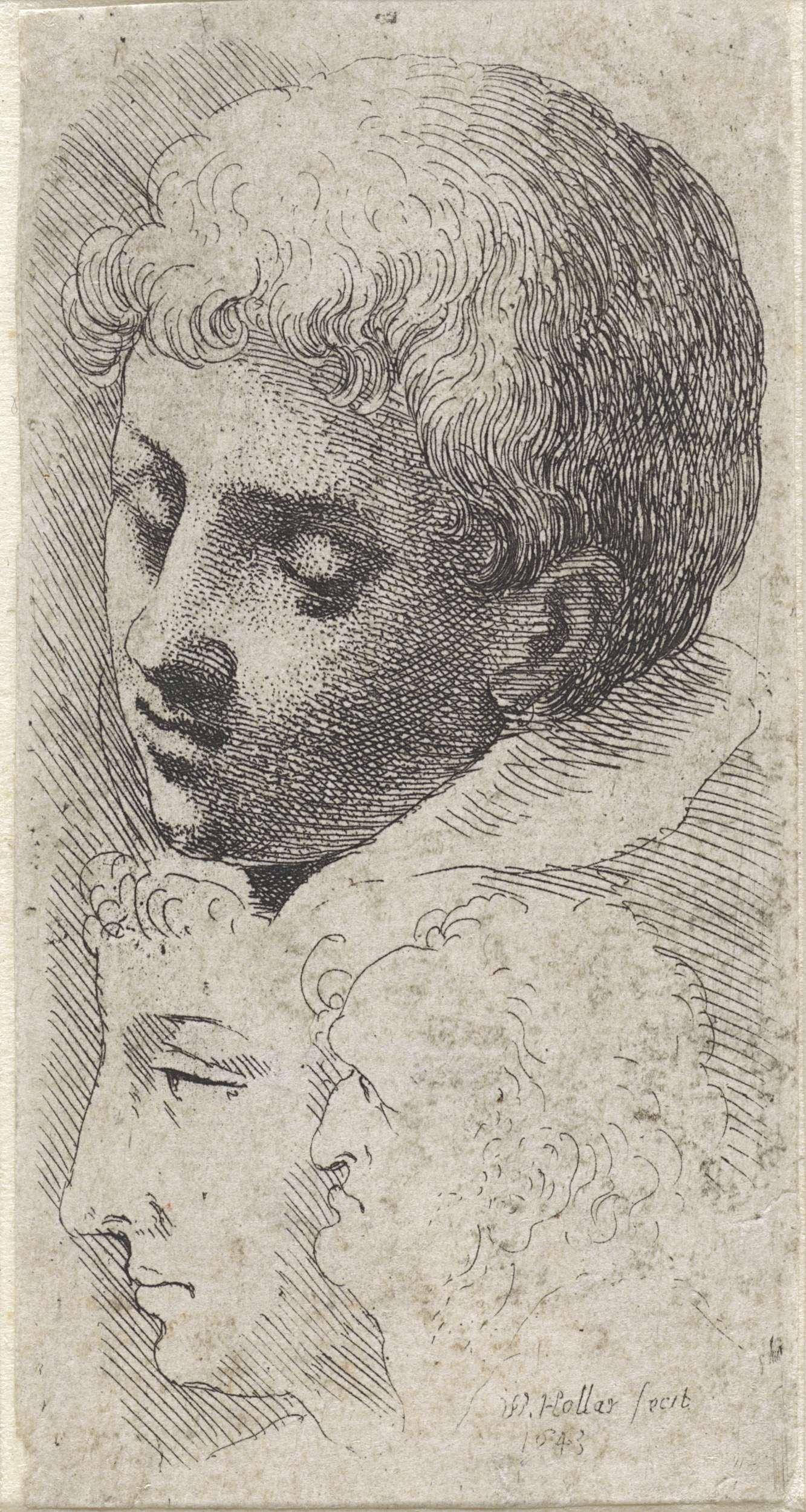 Etching by Wenceslaus Hollar showing a boy's head and two male profiles