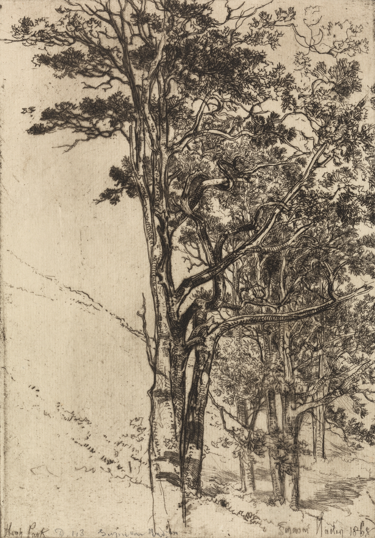 High Park, by Francis Seymour Haden, public domain