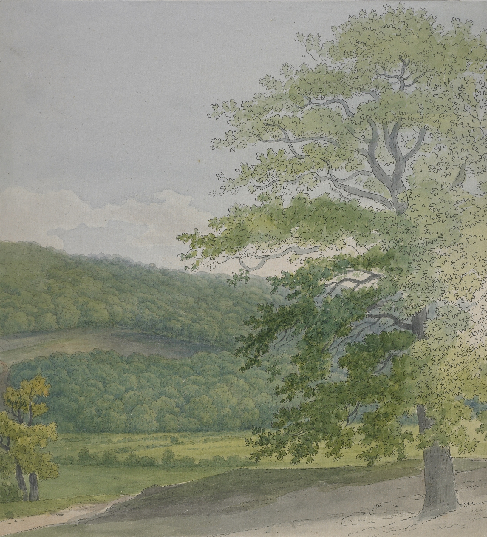 Wooded landscape by John White Abbott, oil on canvas depicting a serene forest scene.
