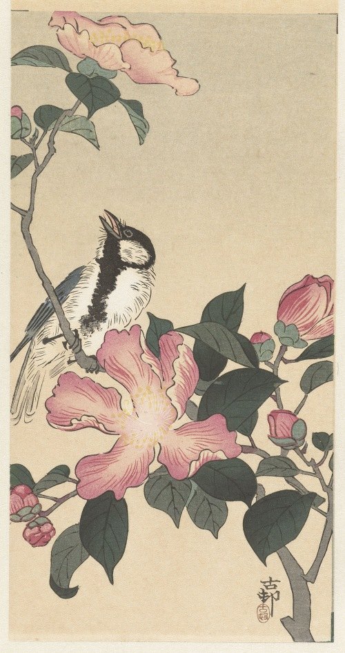A beautiful depiction of a great tit perched on a branch adorned with pink flowers.