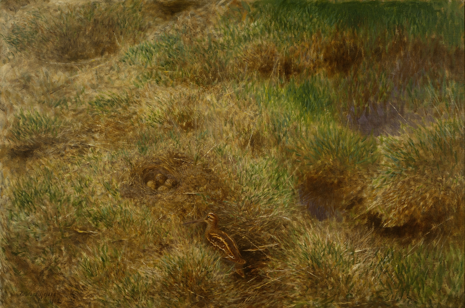 Snipe’s Nest, by Bruno Liljefors, public domain