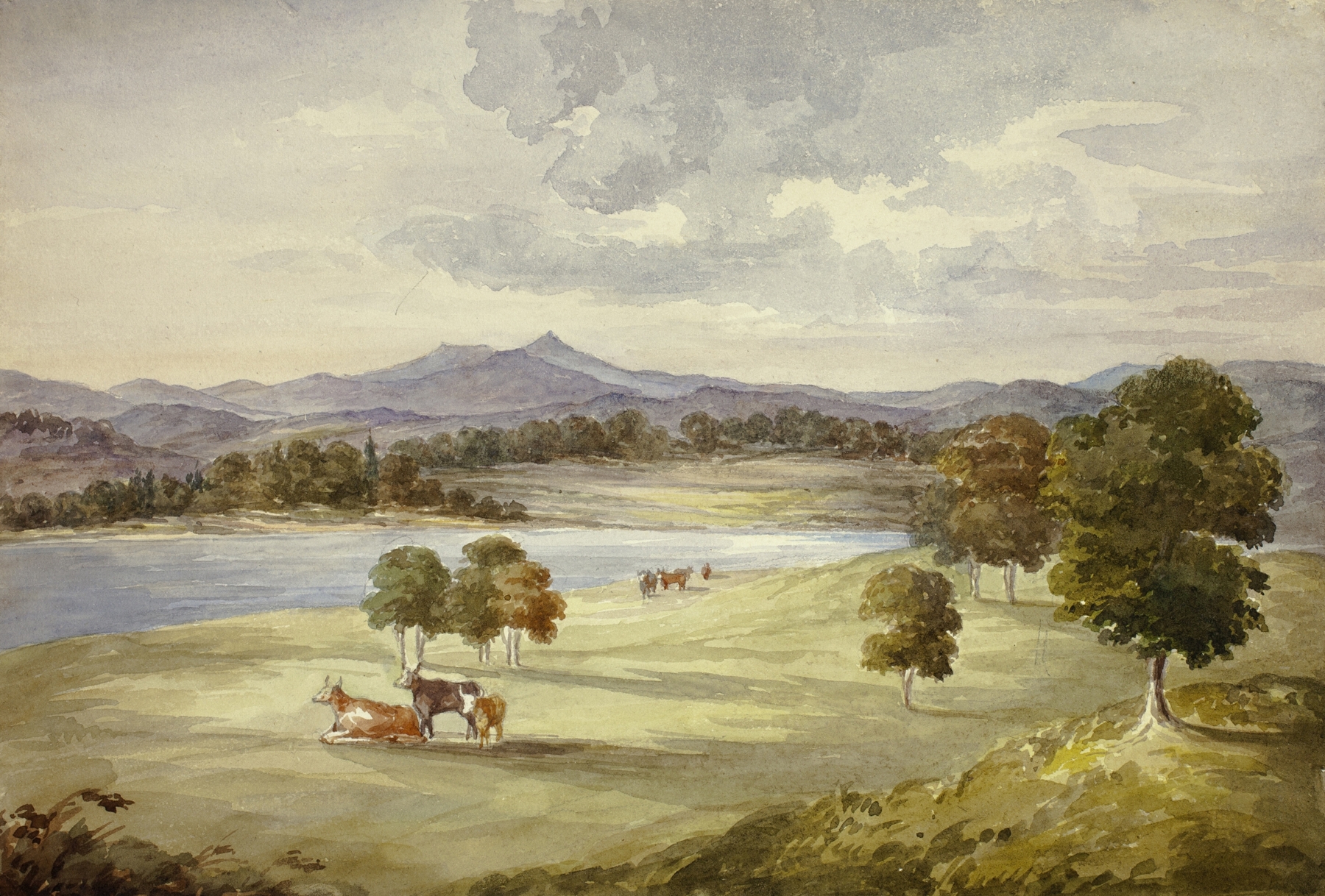 Cows in Landscape, by Elizabeth Murray, public domain