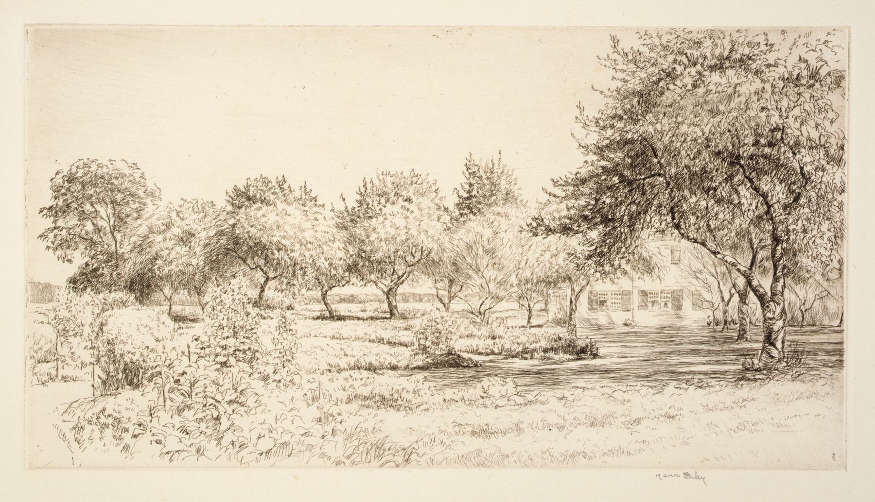Etching by Kerr Eby depicting an orchard with trees and fruit, soft light filtering through