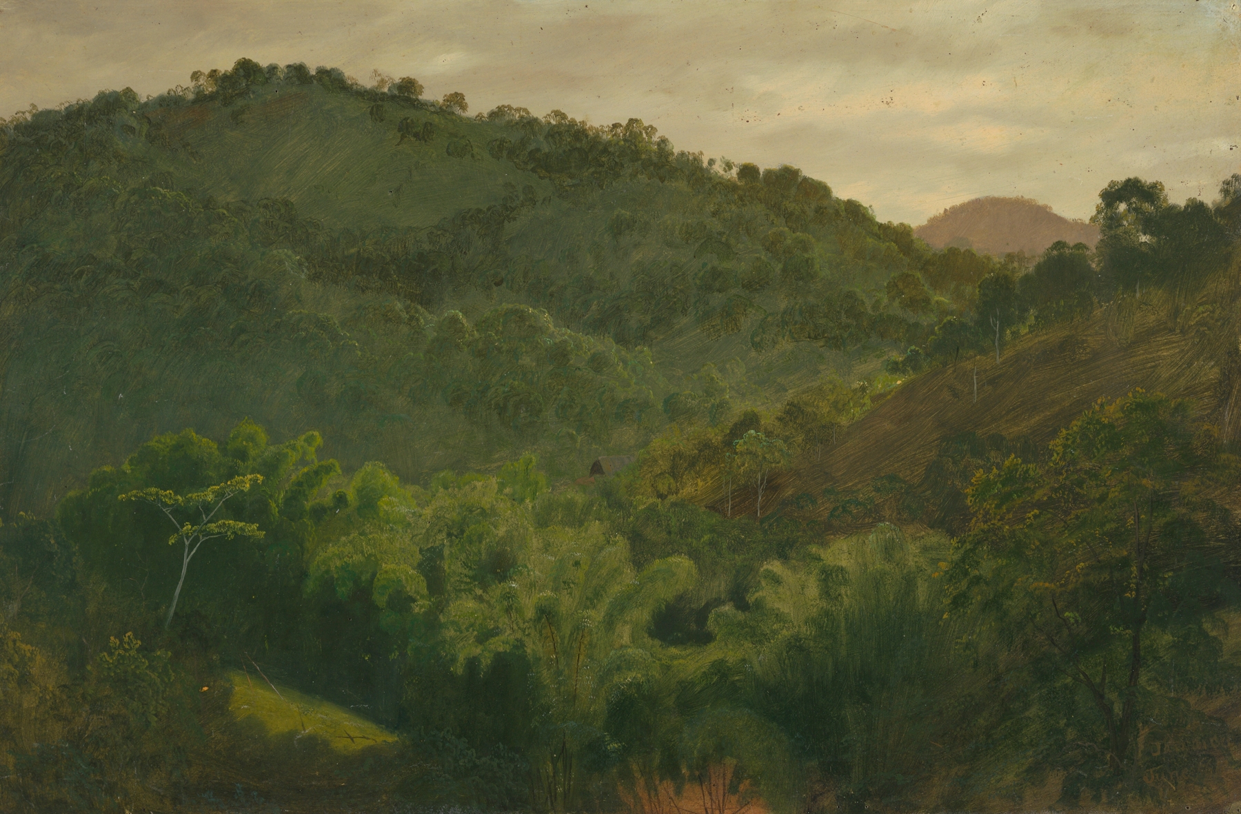 Landscape from Jamaica, West Indies by Frederic Edwin Church, oil on canvas depicting sunlight through lush trees.