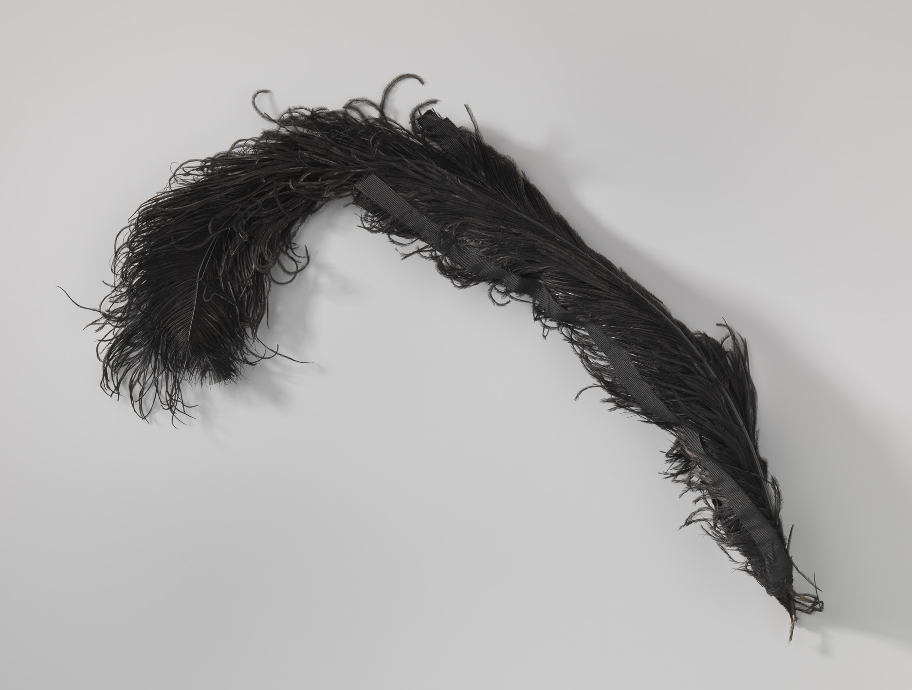 Decorative art featuring black feathers and fabric by an unknown artist