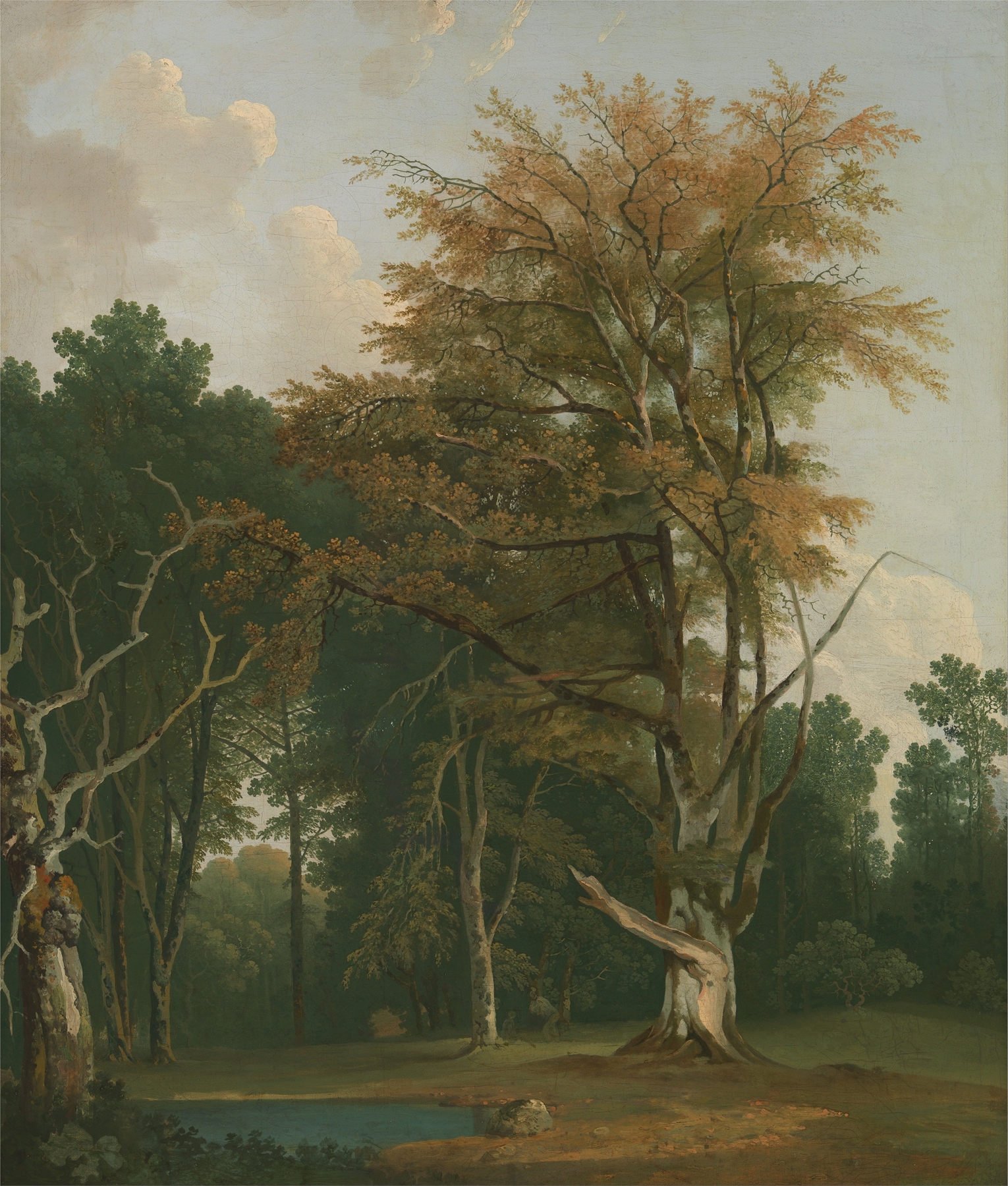 Trees in a woodland glade, oil painting by Joseph Farington