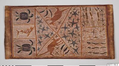 Bark painting by Mutitjpuy Mununggurr featuring earthy tones and intricate patterns.