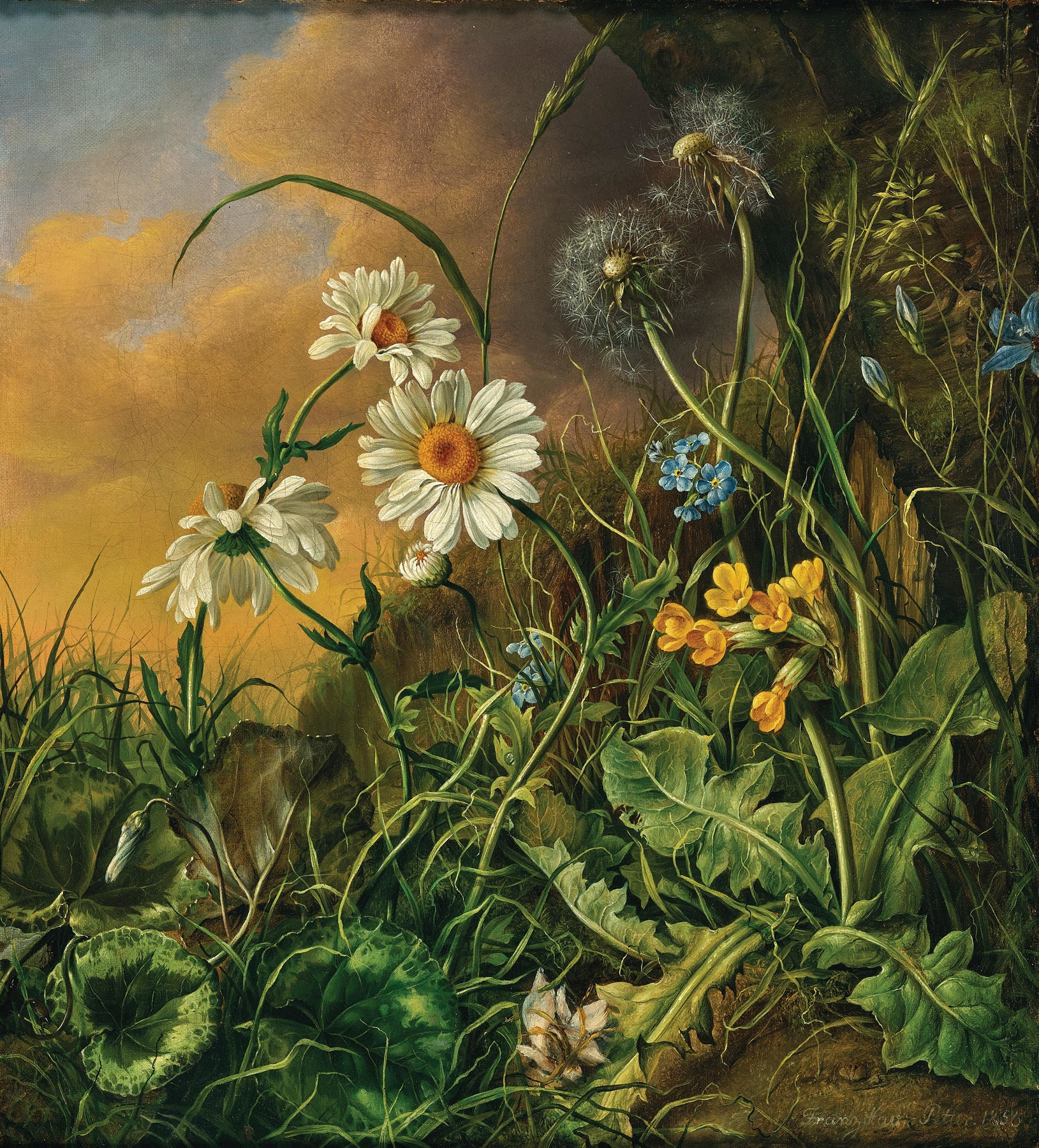 Botanical scene with daisies, primroses, and dandelions, oil on canvas by Franz Xaver Petter