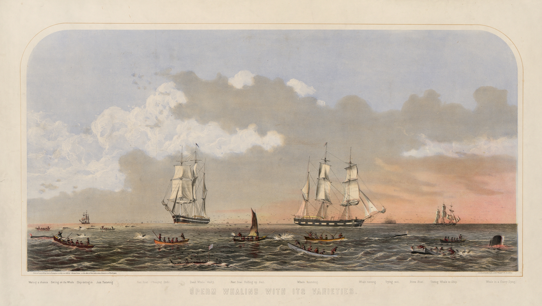 Marine scene depicting sperm whales in the ocean, lithograph by John H. Bufford's & Sons