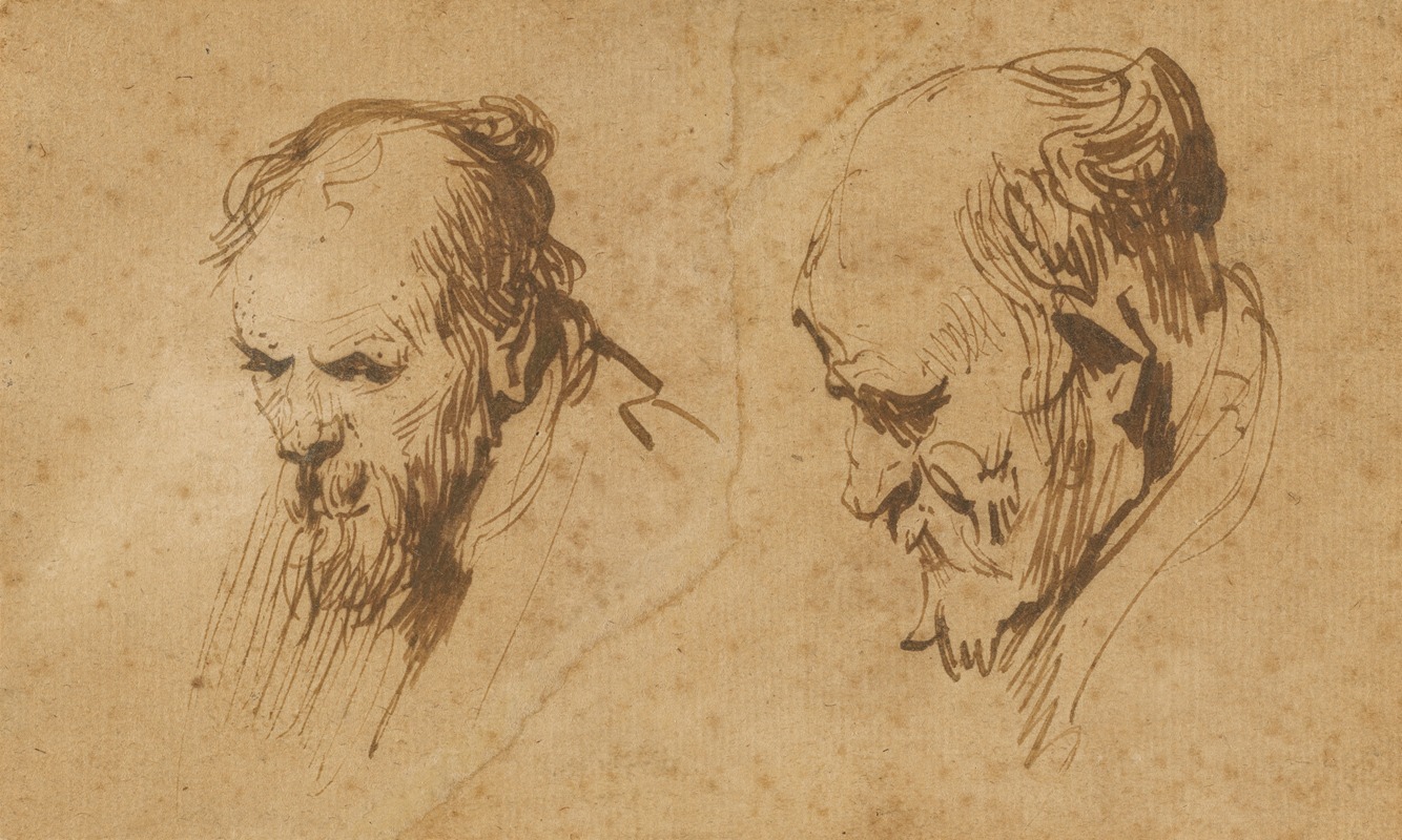 Rembrandt's 'Two Studies of the Head of an Old Man' captures the intricate details of aging.