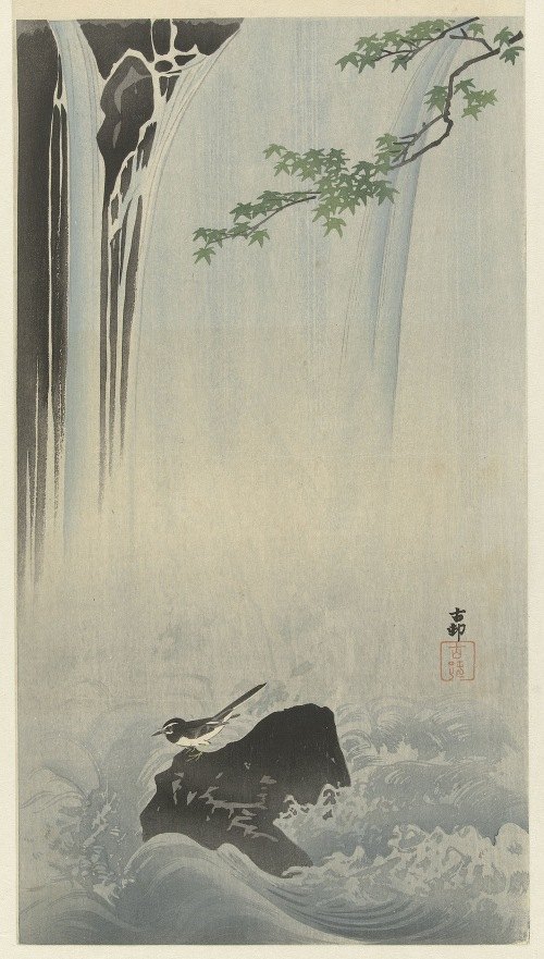 A Japanese wagtail perched by a waterfall in a serene landscape.