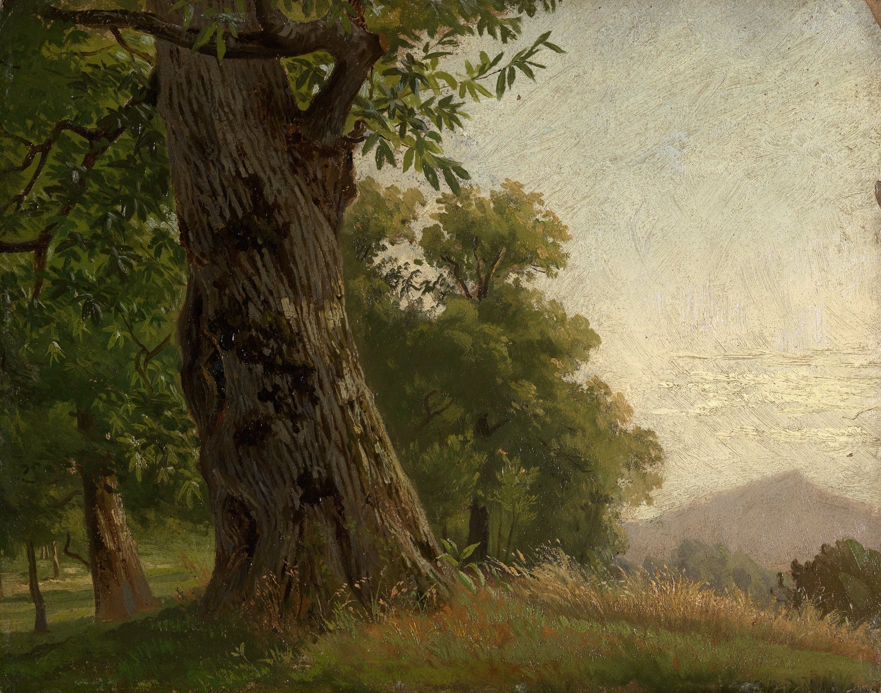 Watercolour by Gustav Osterroht depicting lush foliage and trees