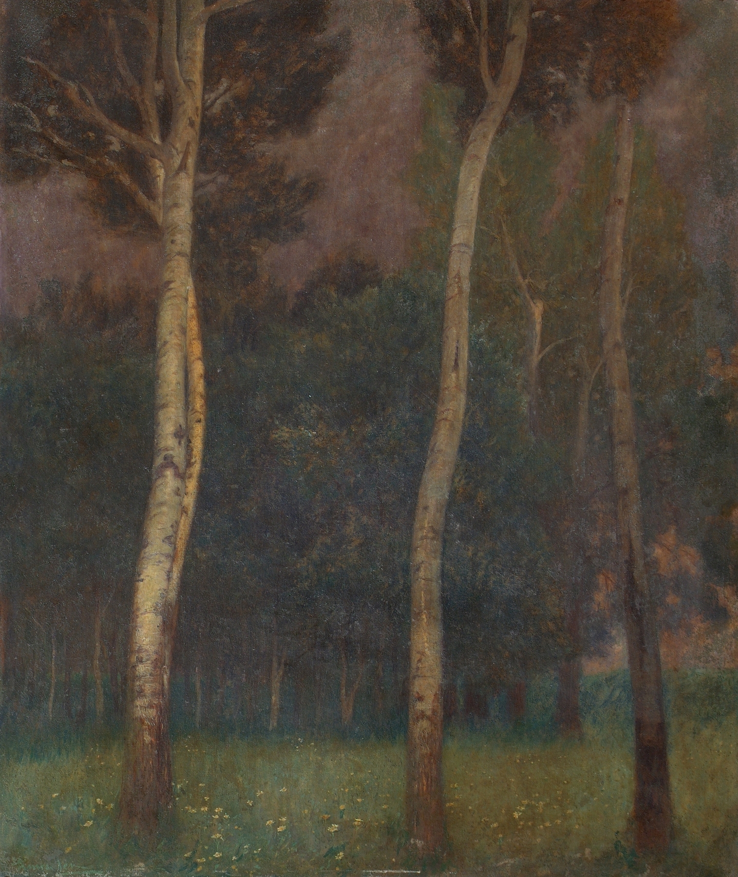 Niederösterreichische Baumlandschaft by Eduard Ameseder, impressionism, landscape with trees and light.