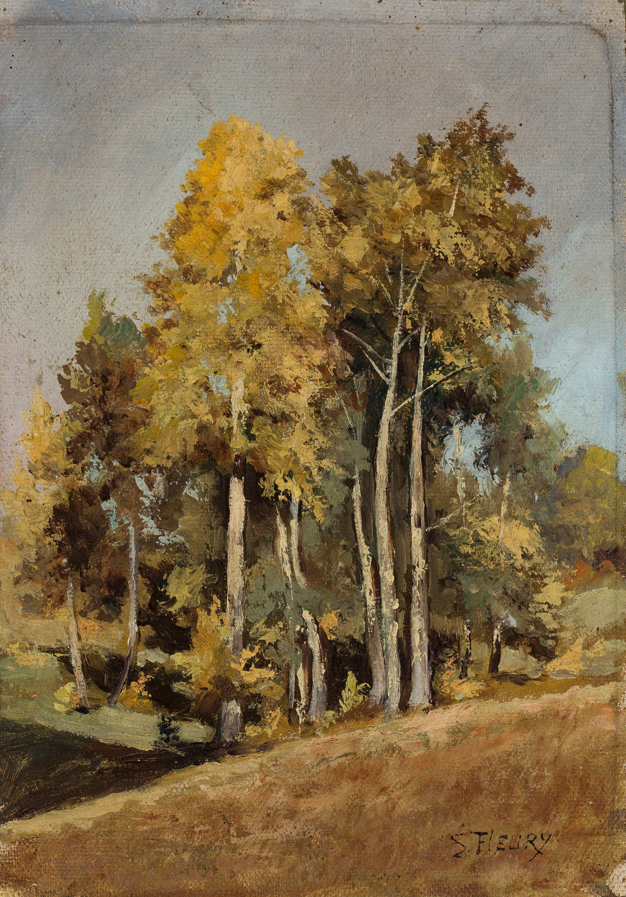 Study of trees by Stanisław Filibert Fleury, oil painting depicting intricate foliage.