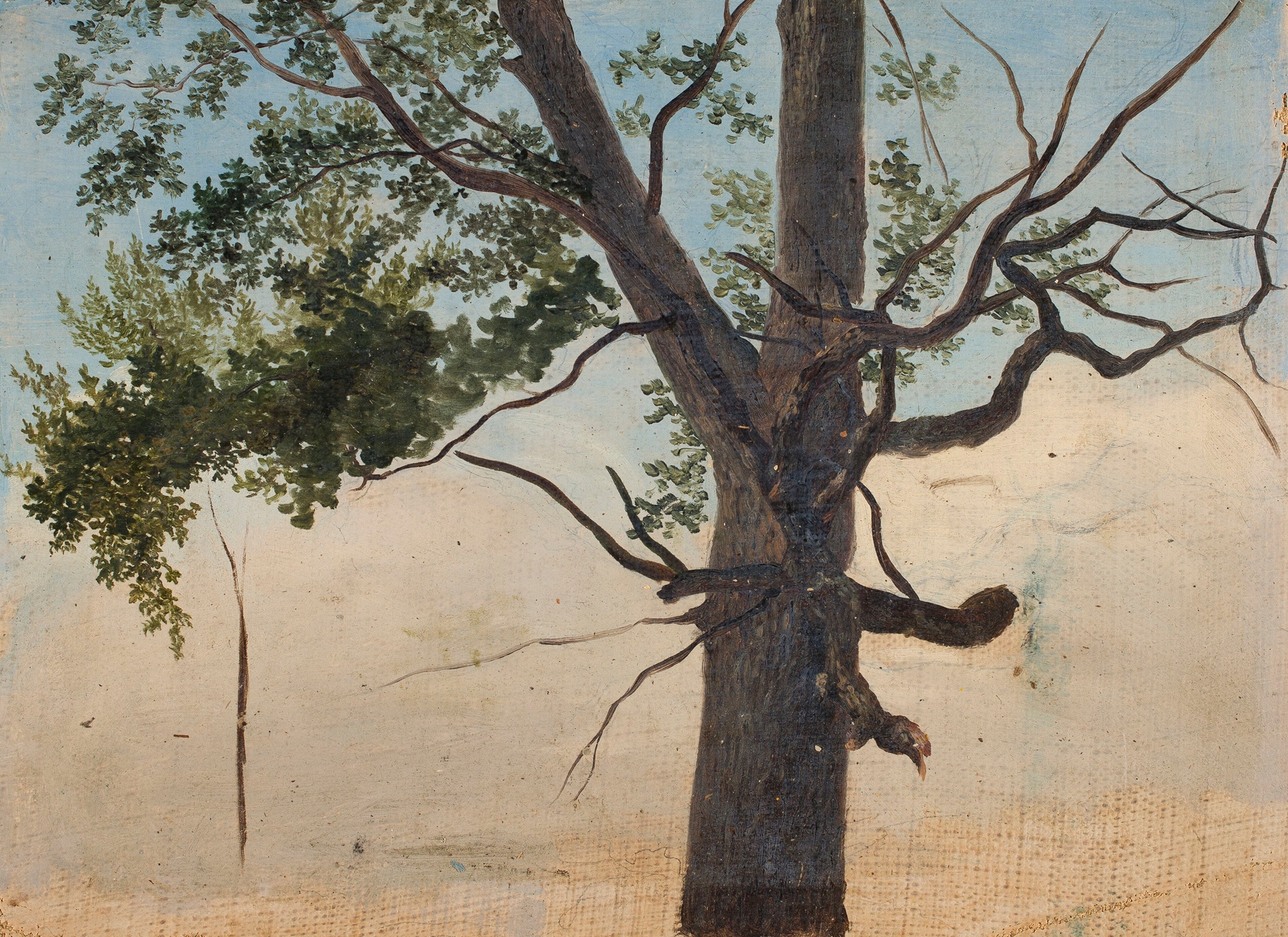Solitary Tree by Chrystian Breslauer, oil on canvas depicting a lone tree in a colorful landscape