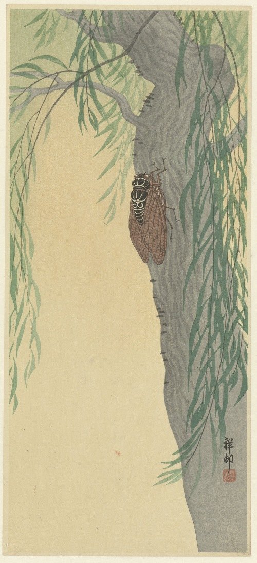 A beautiful depiction of a cicada resting on a tree branch.