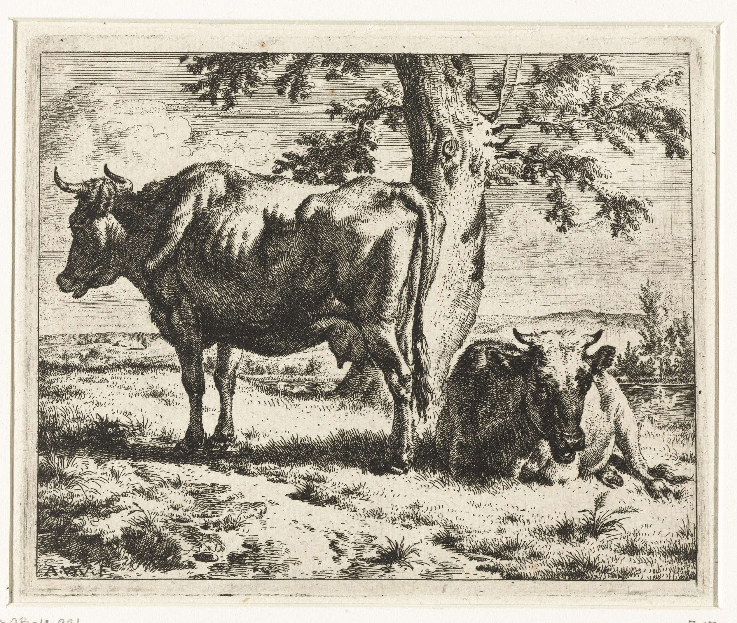 Twee koeien onder een boom, by Adriaen van de Velde, public domain