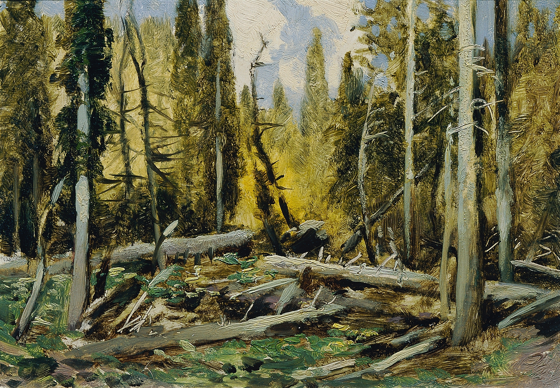 Landscape featuring a dense forest, Böhmerwald by Ferdinand Engelmüller, medium unknown