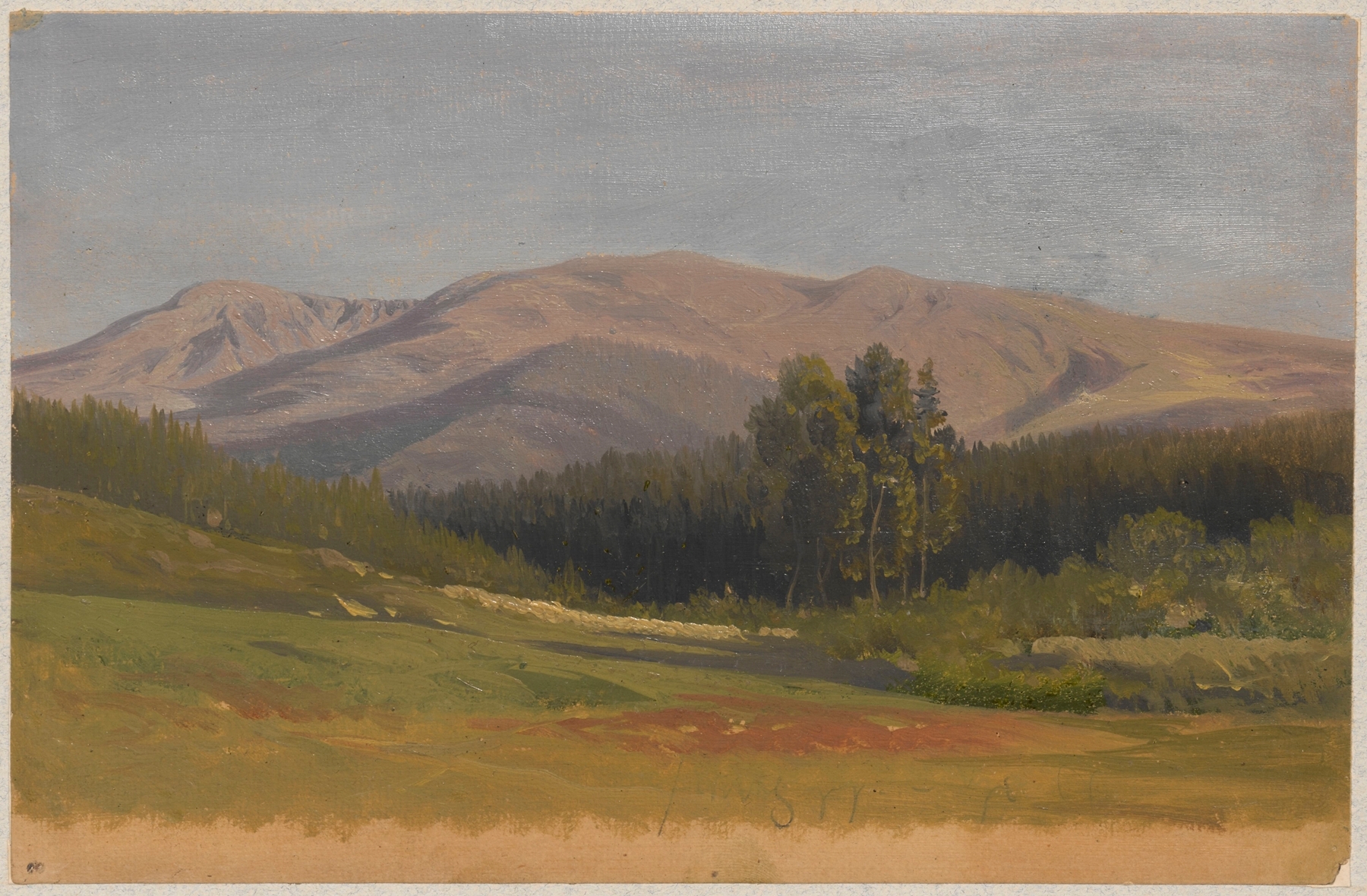 Mountain landscape by Arthur Blaschnik, oil painting depicting distant peaks and lush greenery.