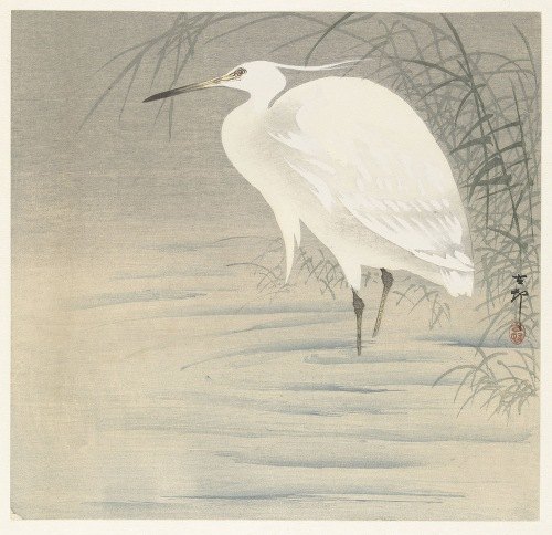 A serene depiction of a little egret in a natural setting.