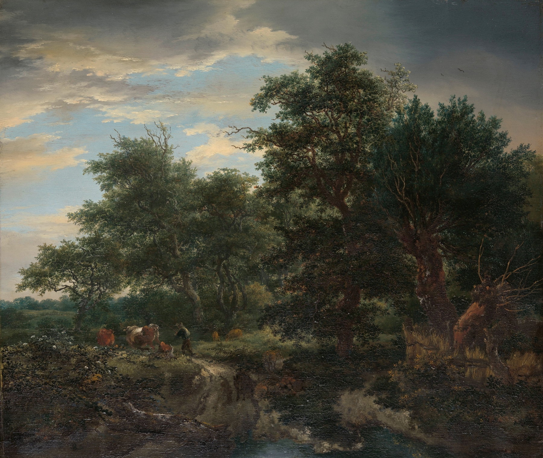Forest scene by Jacob van Ruisdael, oil painting depicting trees and sunlight