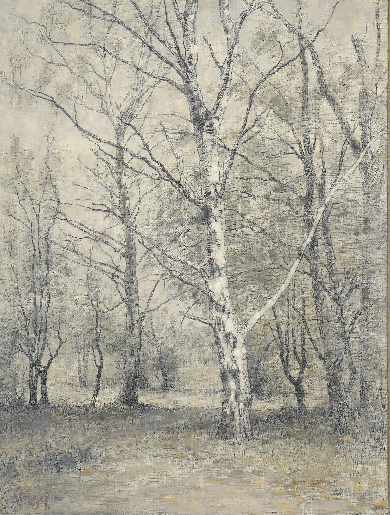 Landscape with birch trees and sunlight, oil on canvas by Alphonse Stengelin