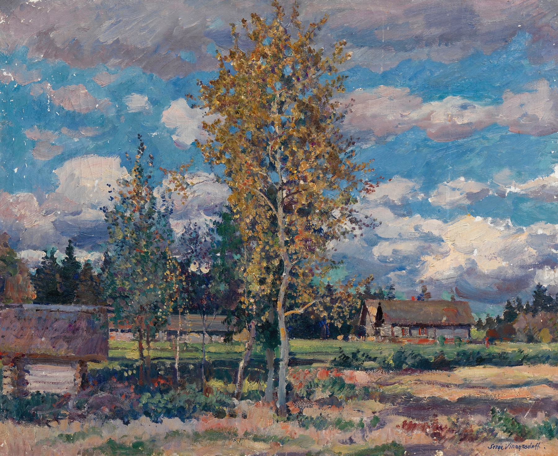 Birch trees in sunlight, oil on canvas by Sergei Arsenevich Vinogradov