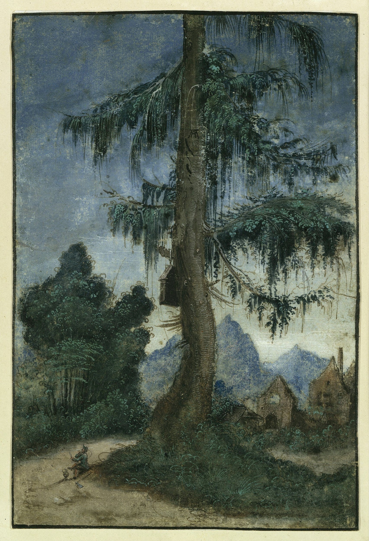 Landscape with spruce by Albrecht Altdorfer, oil on wood, featuring a tall spruce and rolling hills.