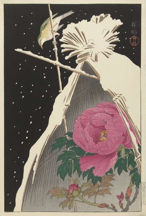 A beautiful depiction of a Siberian Bluechat beside a peony flower.