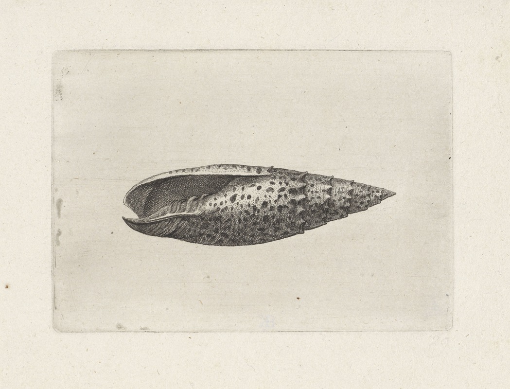 An intricate etching of a papal mitre by Wenceslaus Hollar.