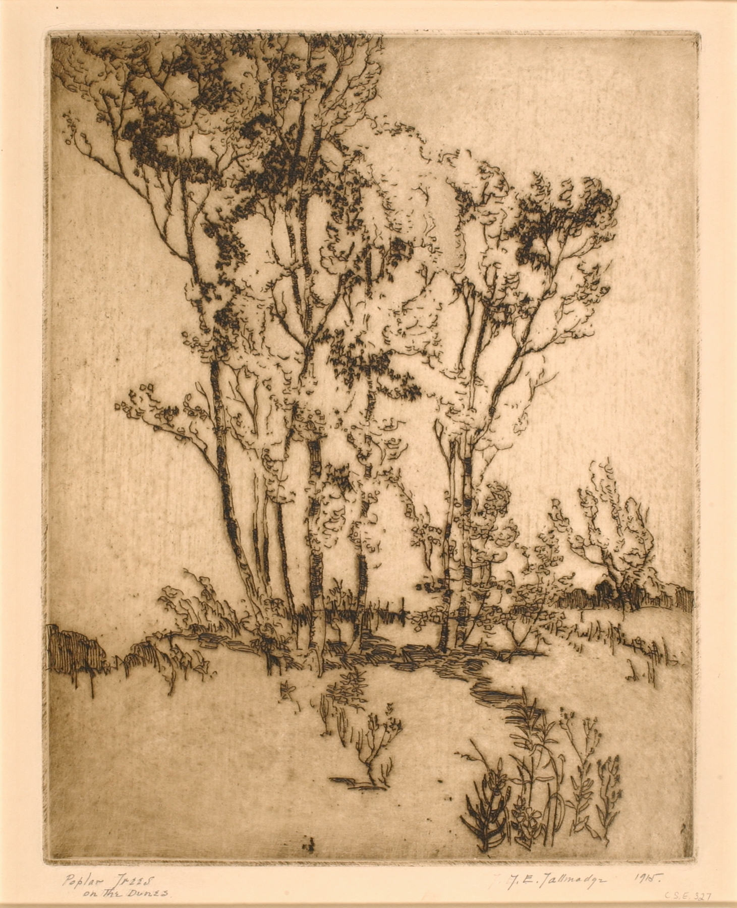 Impressionist landscape of poplar trees by Thomas Eddy Tallmadge, showcasing vibrant greens and blue sky.