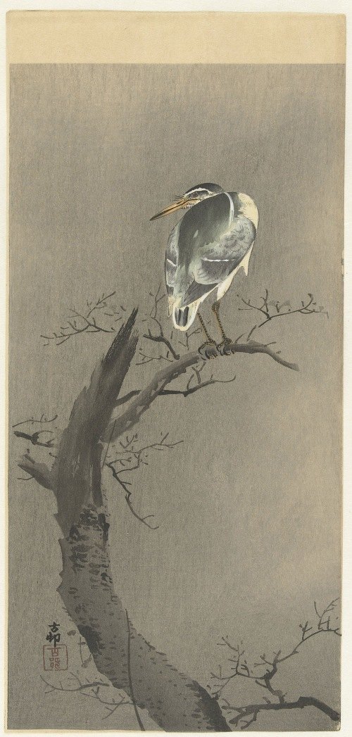 A serene depiction of a kwak perched on a branch, showcasing the beauty of nature.