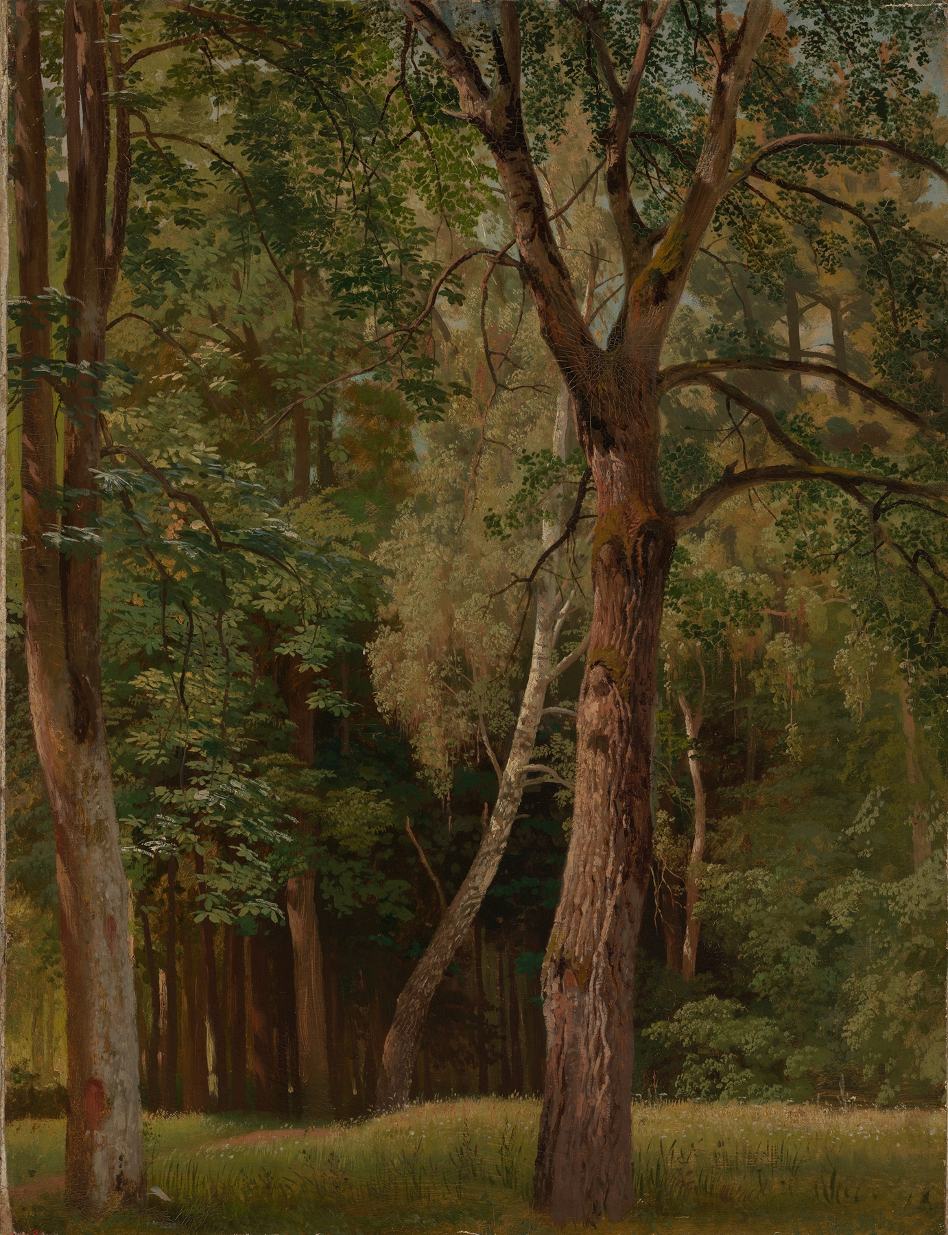 Laubwald mit Kastanien und Birken, by Johann Wilhelm Schirmer, public domain