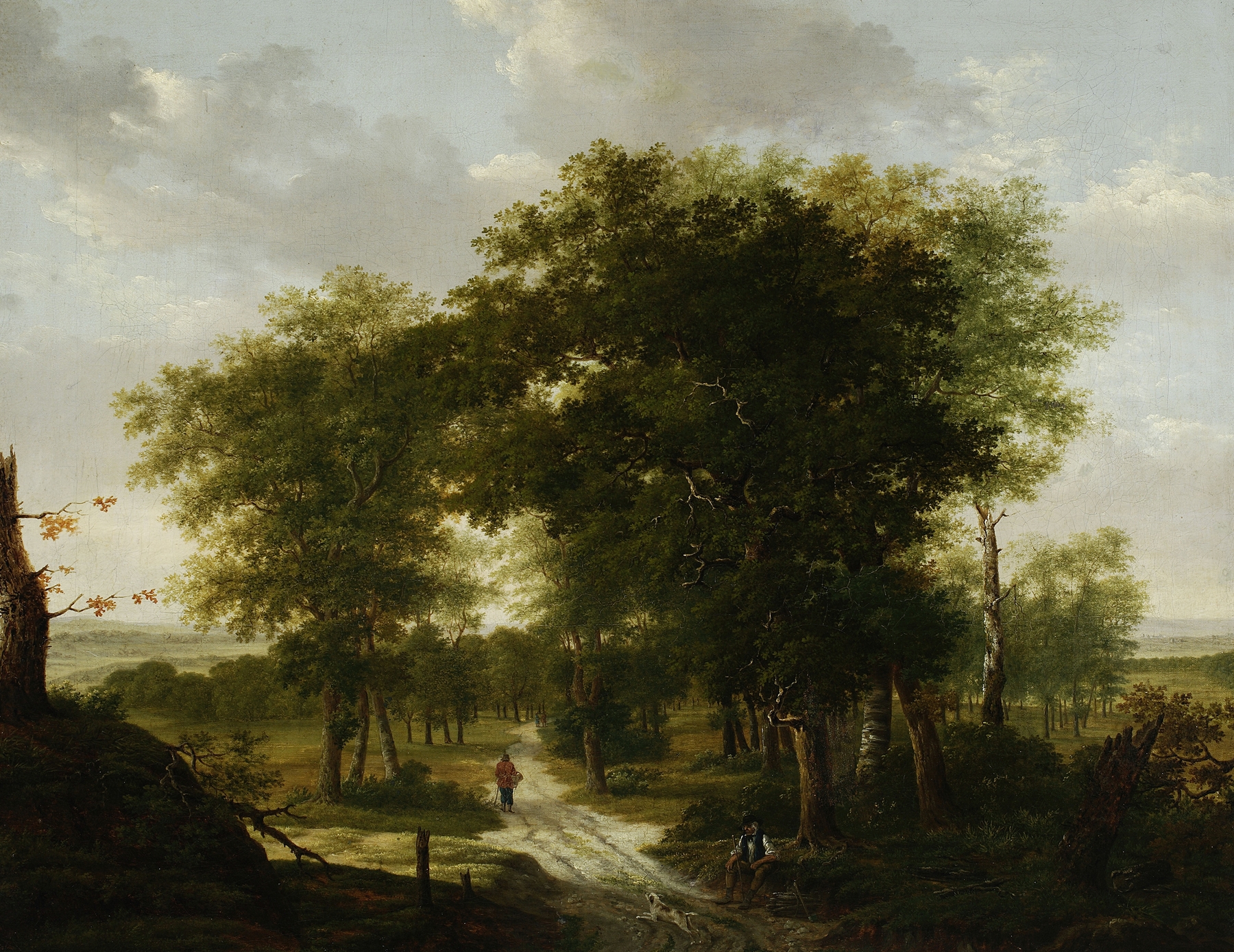 Forest landscape by Kazimierz Żwan, oil painting depicting light filtering through trees.