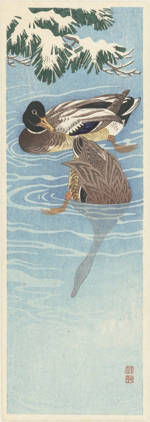 A serene depiction of wild ducks in water by Ohara Koson.