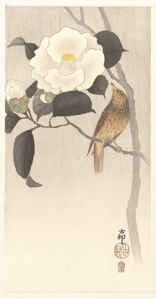 A beautiful representation of a songbird perched on a flowering camellia.