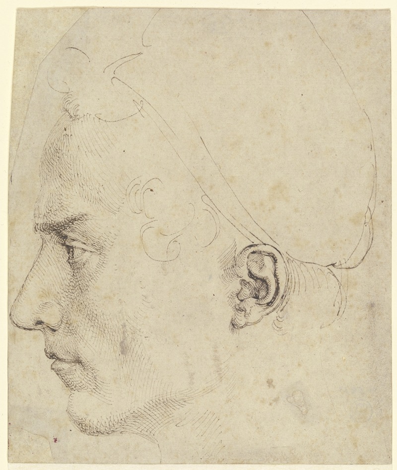 A detailed profile of a male head by Albrecht Dürer.