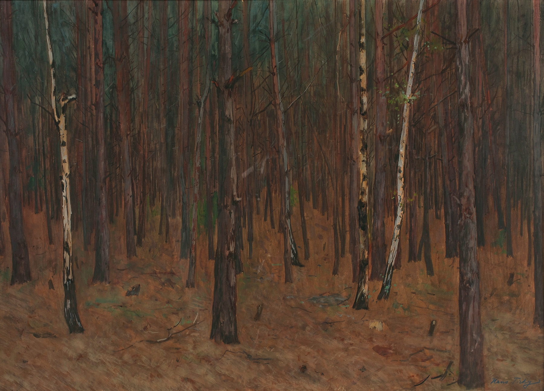 Waldinneres by Hans Tichy, oil on canvas depicting a forest with light filtering through trees.
